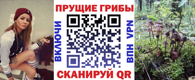 Галлюциногенные грибы мицелий  как найти закладки  гидра ССЫЛКА  Нелидово 
